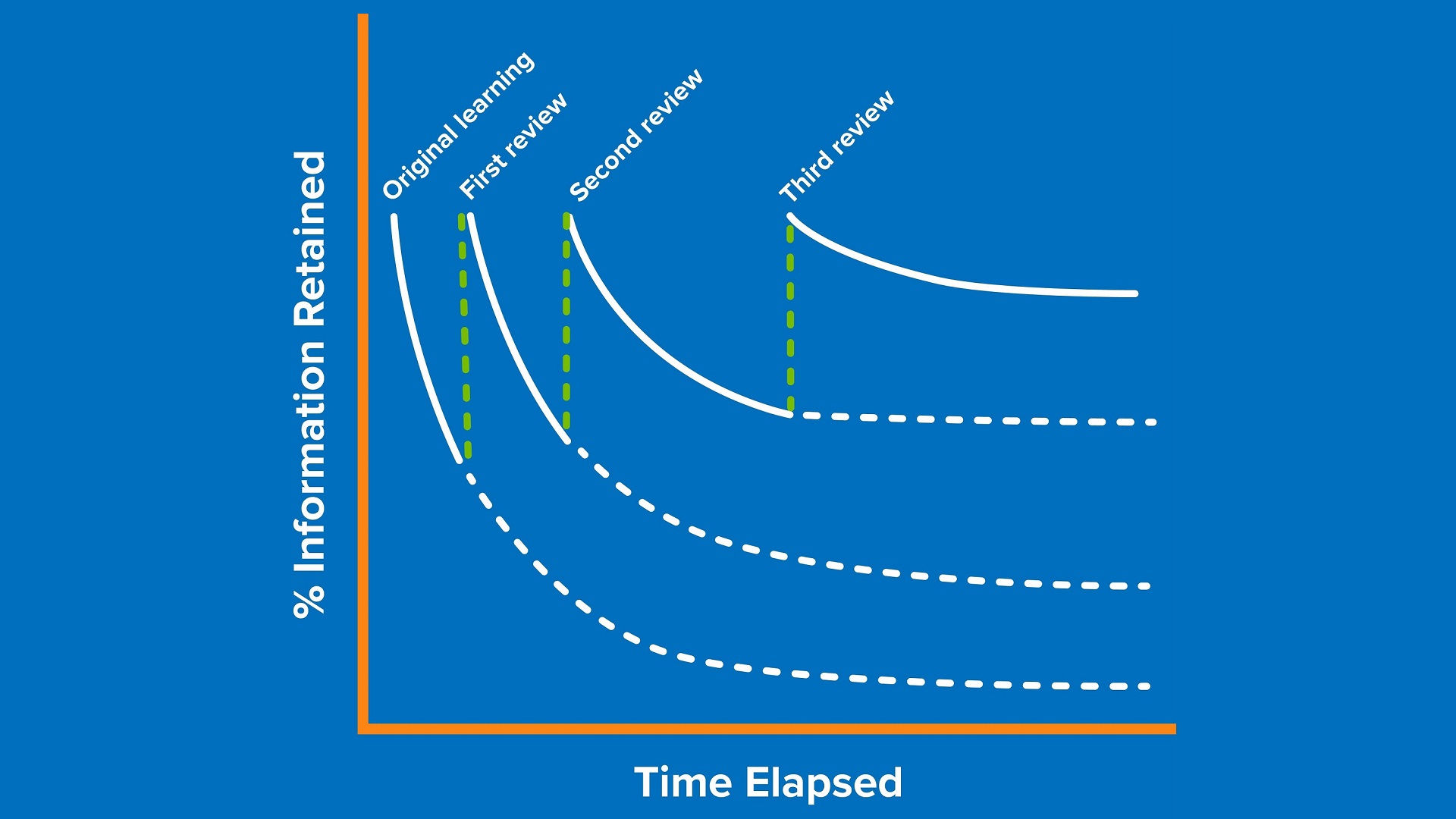 bild-spaced-repetition